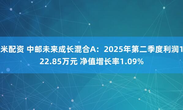 米配资 中邮未来成长混合A：2025年第二季度利润122.85万元 净值增长率1.09%