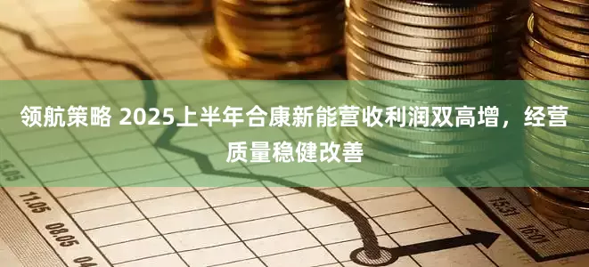 领航策略 2025上半年合康新能营收利润双高增，经营质量稳健改善